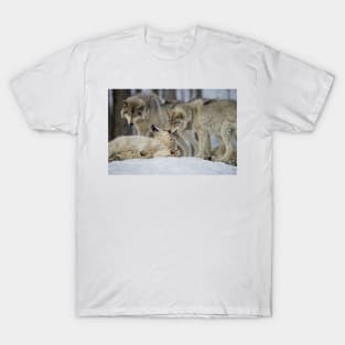 Grey Wolves T-Shirt